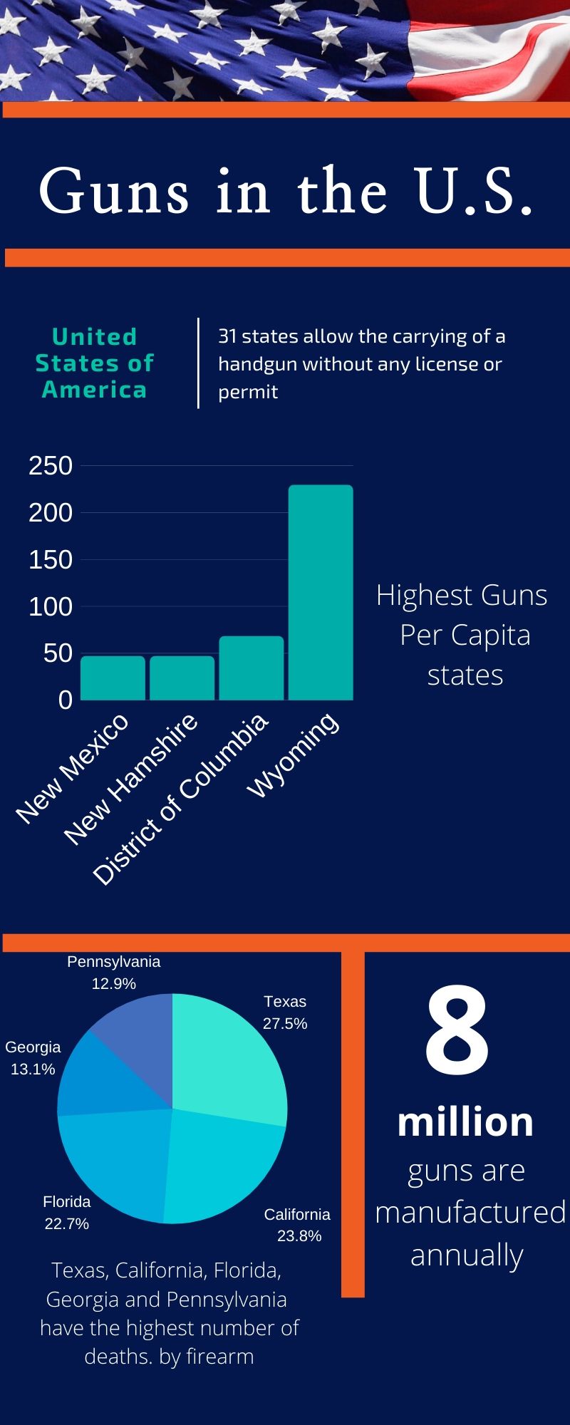 Gun Rights in America
