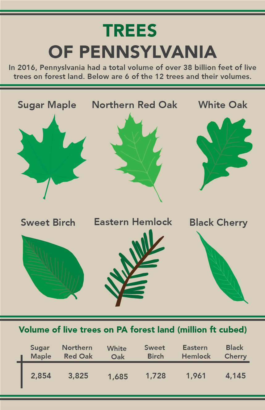 Screen Shot 2020-04-13 at 1.22.30 AM