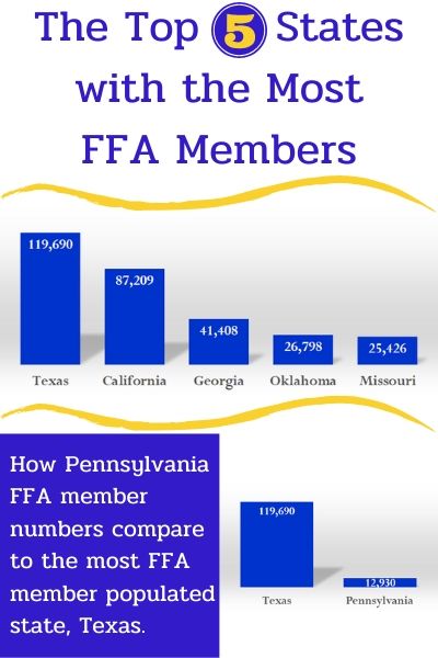 The Top 5 States with Most FFA Members